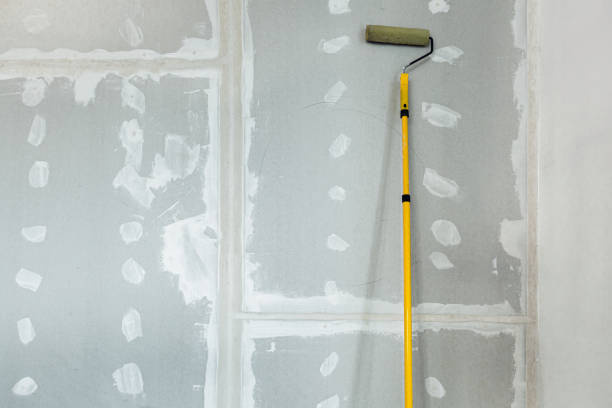 Best Water-Damaged Drywall Repair  in Danvers, IL